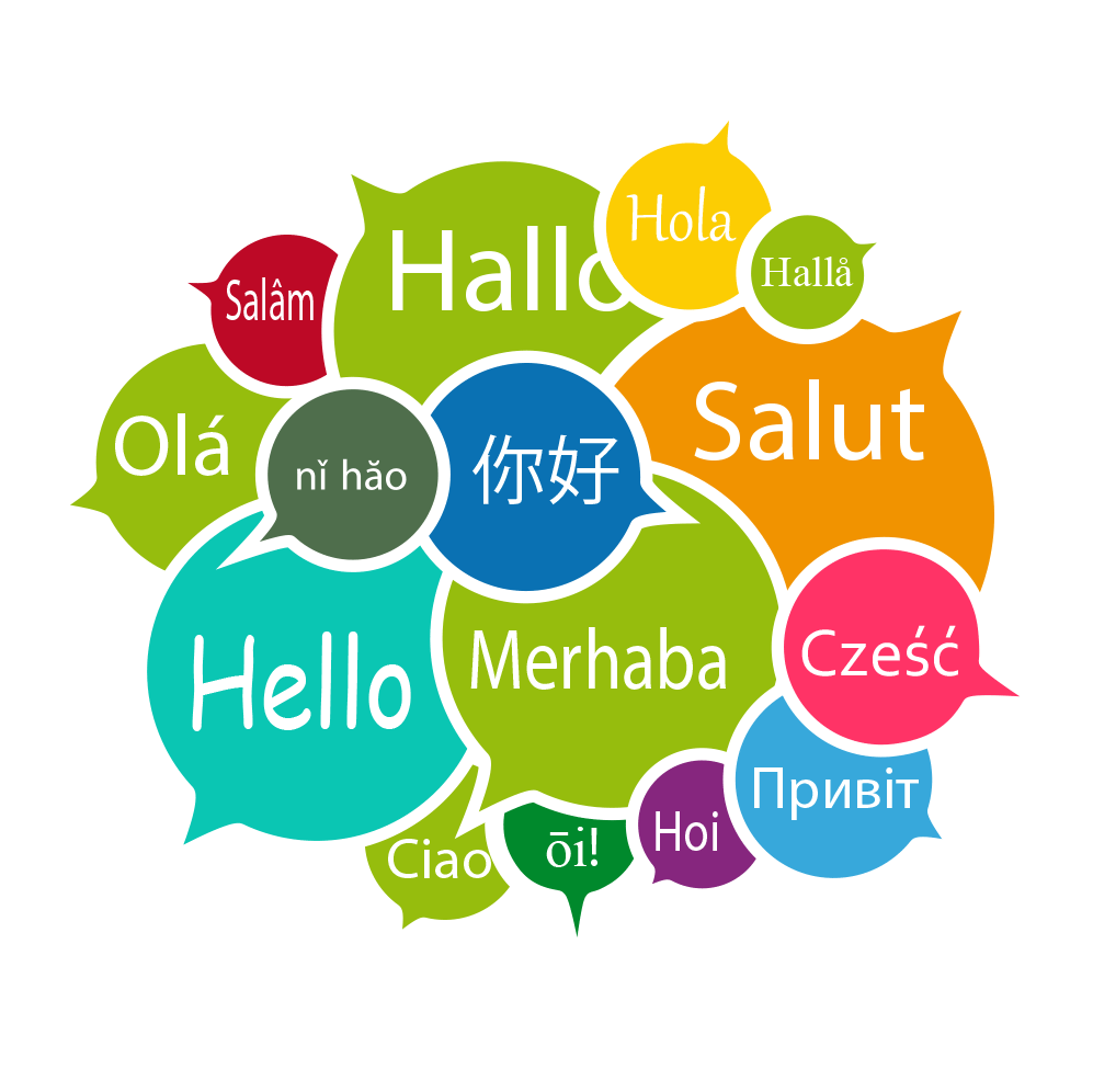 Program Image